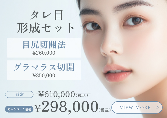 タレ目形成セット