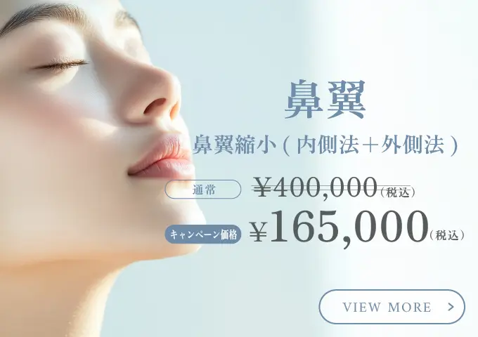 鼻翼