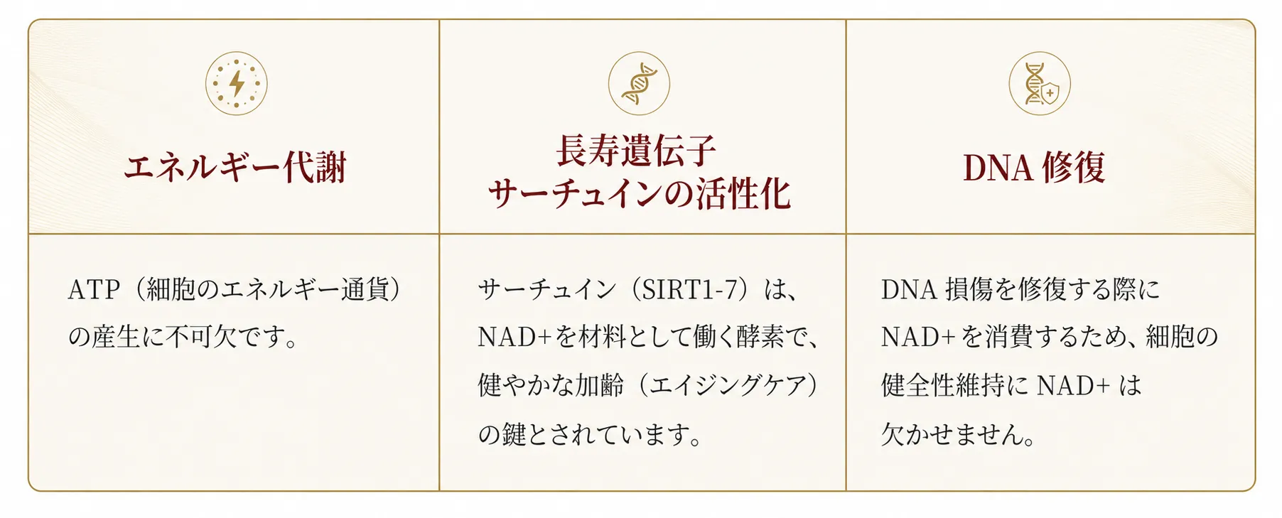 NAD+点滴療法とは